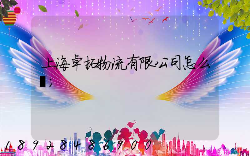 上海卓拓物流有限公司怎么樣